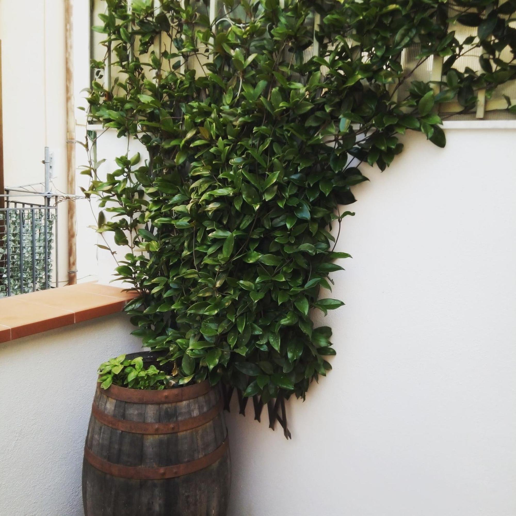 Apartmán Il Terrazzino Sul Kemonia Palermo Exteriér fotografie